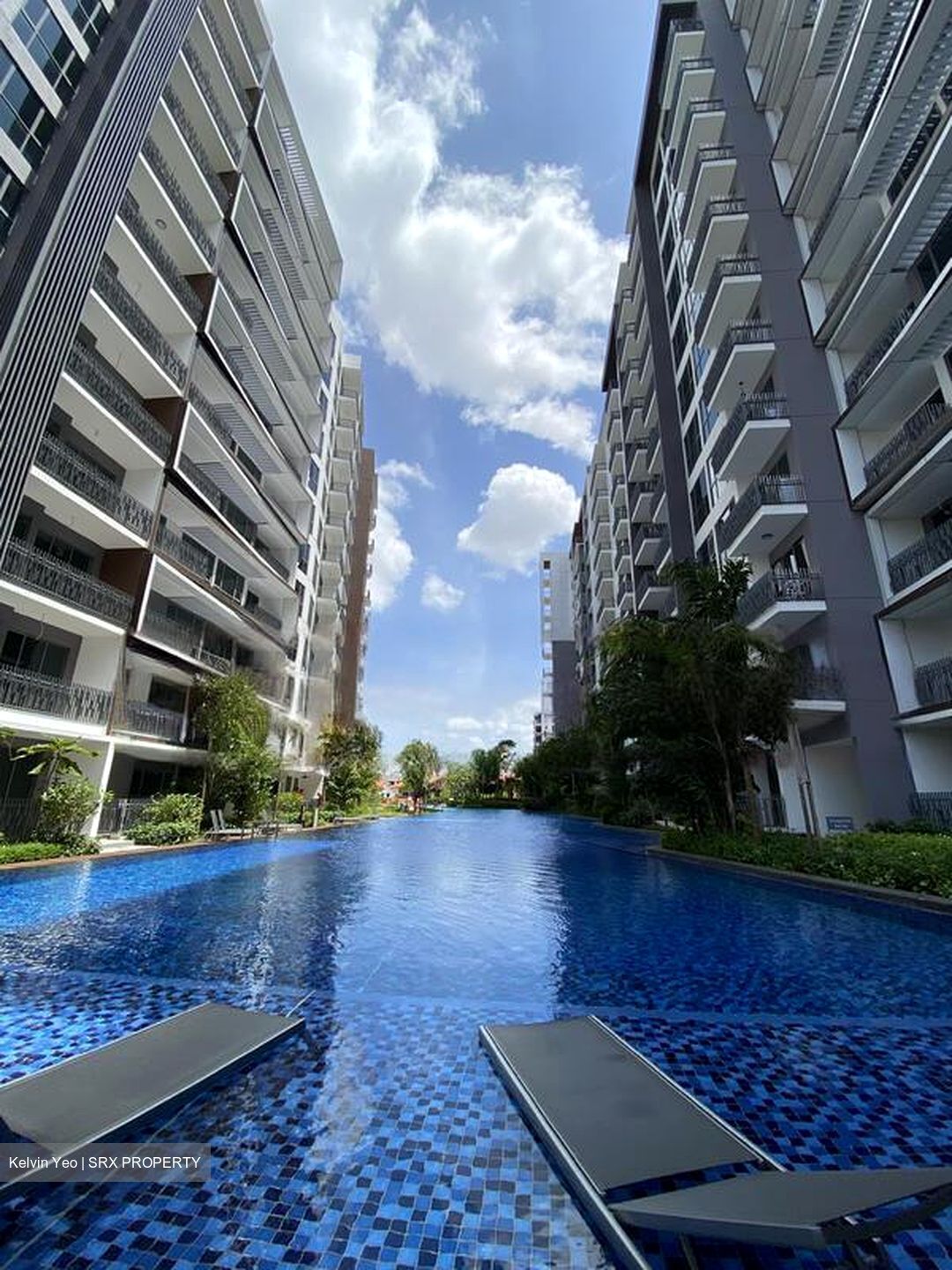 Forest Woods (D19), Condominium #481747231